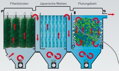 POLY TECH MOVE FILTER 60