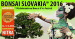 Bonsai Slovakia 2016