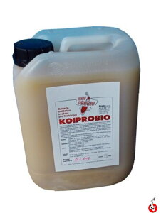 Probiotiká či antibiotiká pro koi