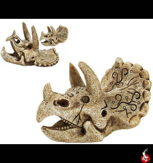  skull triceratops M 24x10x15cm
