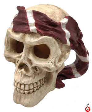 Skull Red pirate 15x13x14cm