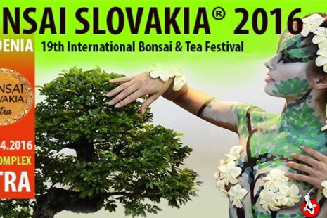Bonsai Slovakia 2016